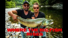 Video thumb for Where the Big Fish Rises