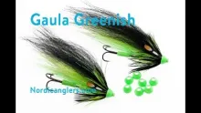 Video thumb for Greenish Gaula