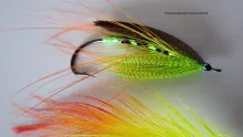 Video thumb for Freestyle Spey Fly
