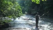 Video thumb for North Georgia Trout Fishing