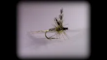 Video thumb for Adams Dry Fly: Catskill-style