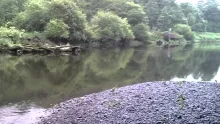 Video thumb for Salmon Fishing Ireland 2013