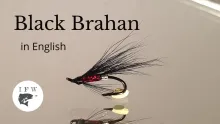 Video thumb for Black Brahan