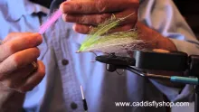 Video thumb for Coho Salmon Bucktail Trolling Fly
