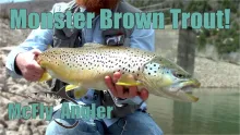 Video thumb for Surprise Monster Brown in Small Pond