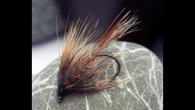 Video thumb for How to tie a Freestyle Wet Fly