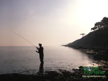 Computer screen wallpaper: The finest possible setting