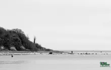 Computer screen wallpaper: Møn B/W