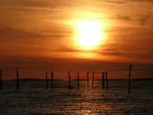 User submitted picture: Cormorants at the sunset