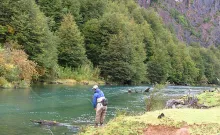 User submitted picture: Guide. Guia...