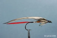 User submitted picture: experimentally streamer