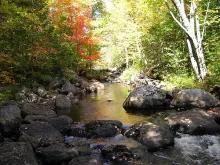 User submitted picture: A Pool Where a Brook Trou...