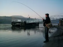 User submitted picture: I playing a very nice asp