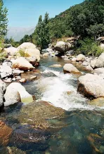 User submitted picture: Little stream near Santia...