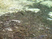 User submitted picture: Where is the water....? I...