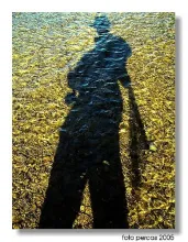 User submitted picture: My shadow
