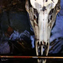 User submitted picture: Awesome fly fishing adven...