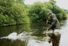 User submitted picture: My friend fighting with s...