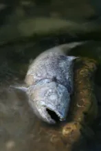 User submitted picture: Journey's End