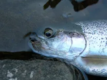 User submitted picture: Mountain Rainbow