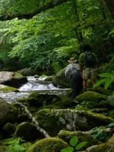 User submitted picture: Little River