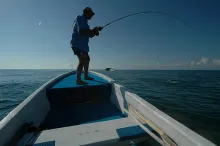 User submitted picture: 85 pounds and too fast fo...