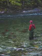 User submitted picture: fishing for rainbow trout...