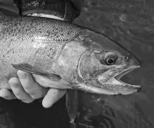 User submitted picture: A hand full of rainbow!  