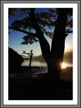 User submitted picture: Lake Lacar san MartÃ­n de ...