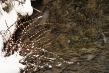 User submitted picture: winter spell (4)