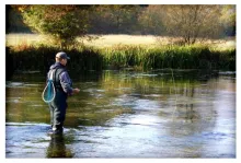 User submitted picture: My brother Dado the patie...