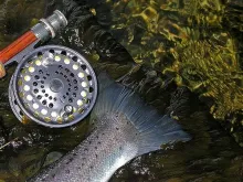 User submitted picture: Tail and V3