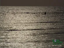 Computer screen wallpaper: Lonely angler on the big water