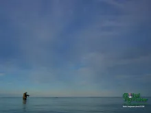 Computer screen wallpaper: Casting under a high, blue sky