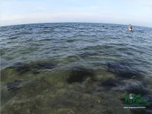 Computer screen wallpaper: The earth IS round.