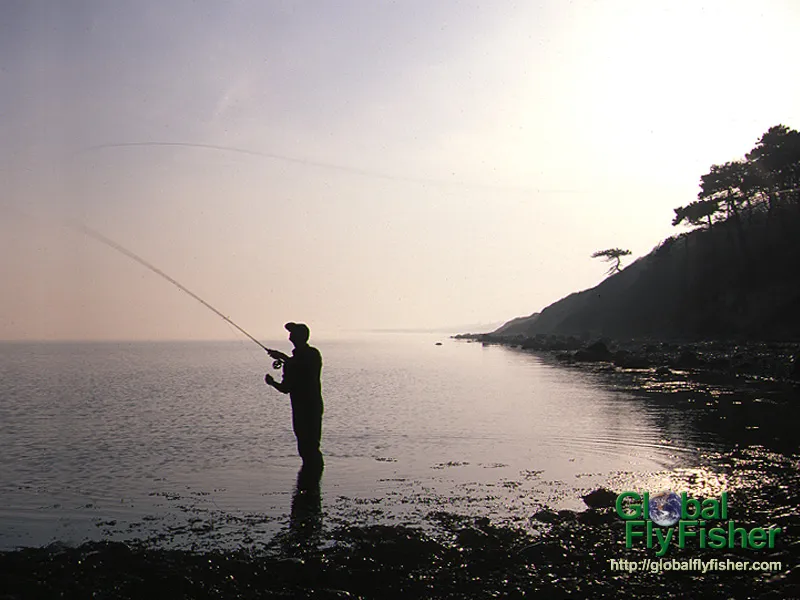 Computer screen wallpaper: The finest possible setting