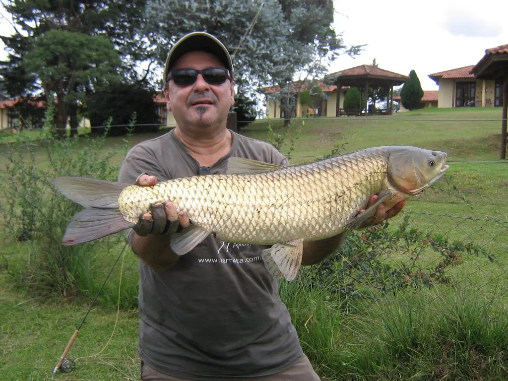 User submitted picture: grass carp.... 7kg!