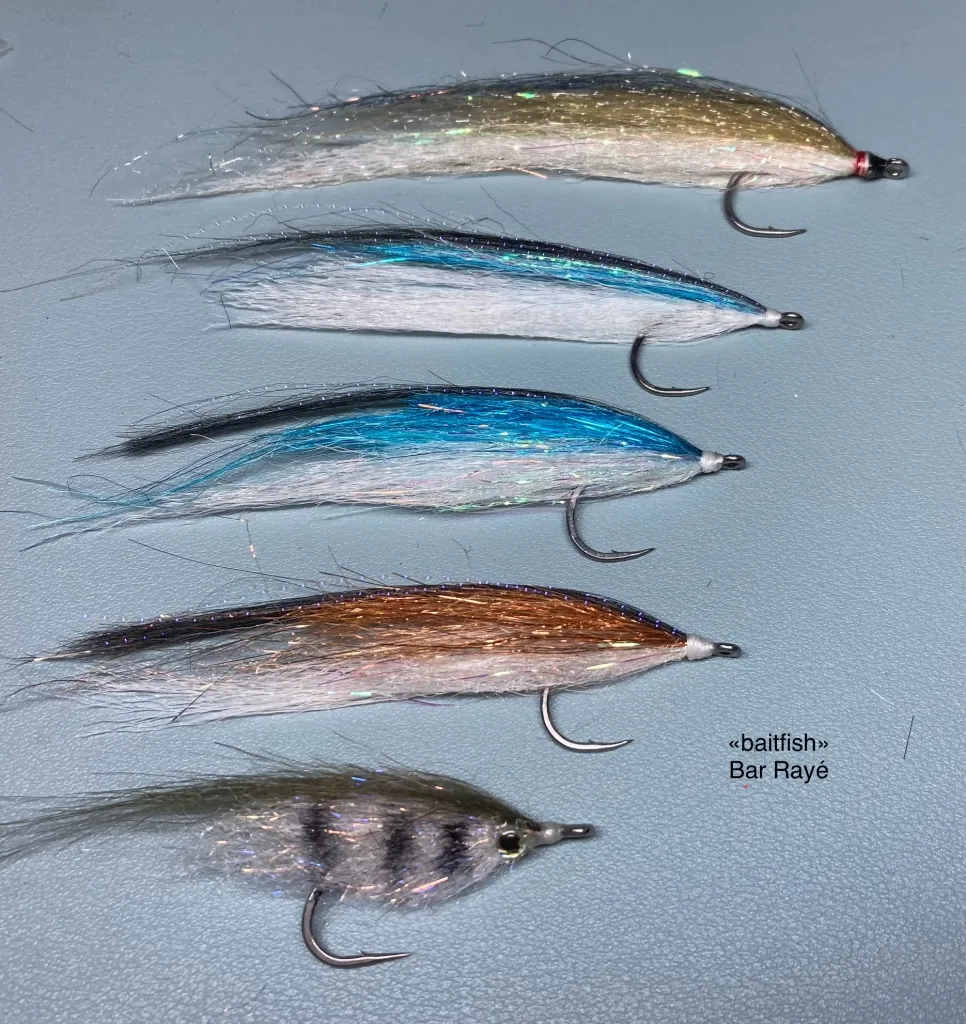 User submitted picture: Minnows for Striped Bass