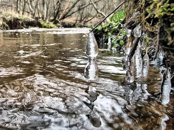 User submitted picture: ...from The Bank...