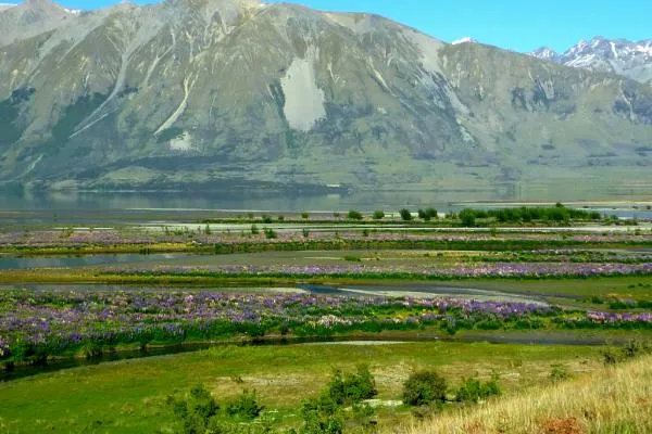 User submitted picture: The river and spring cree...