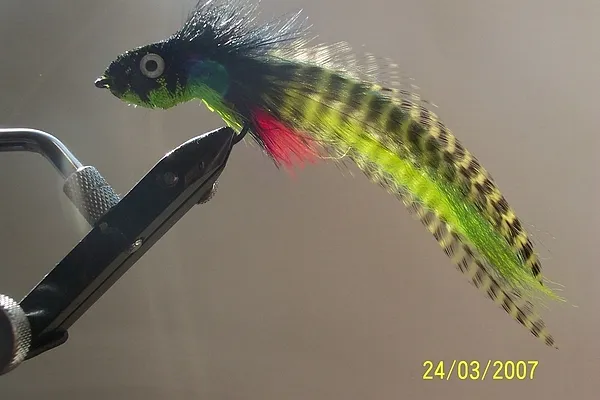 User submitted picture: pike fly 