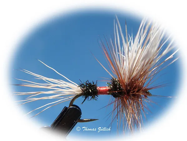 User submitted picture: Royal Wulff - a classic -...