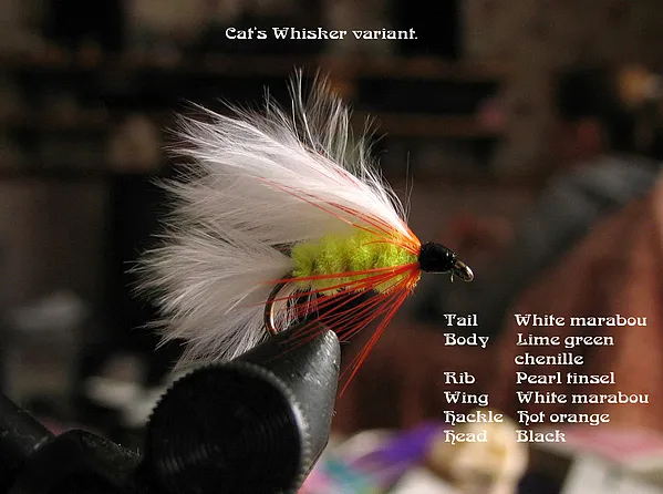 User submitted picture: The Cat's Whisker is a l...