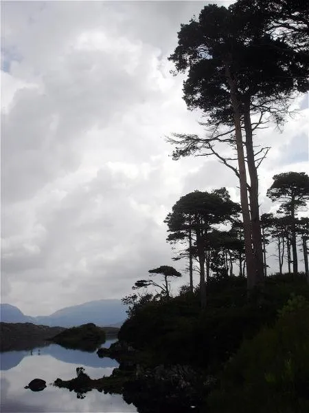 User submitted picture: Landscape Connemara by Pa...