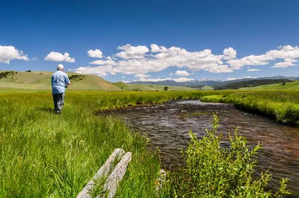 User submitted picture: Wade fishing Secret Creek...