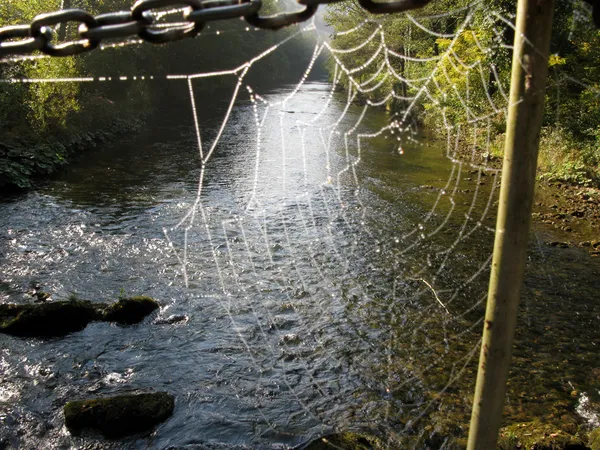 User submitted picture: "Early morning on the br...