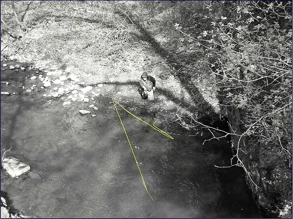 User submitted picture: ...