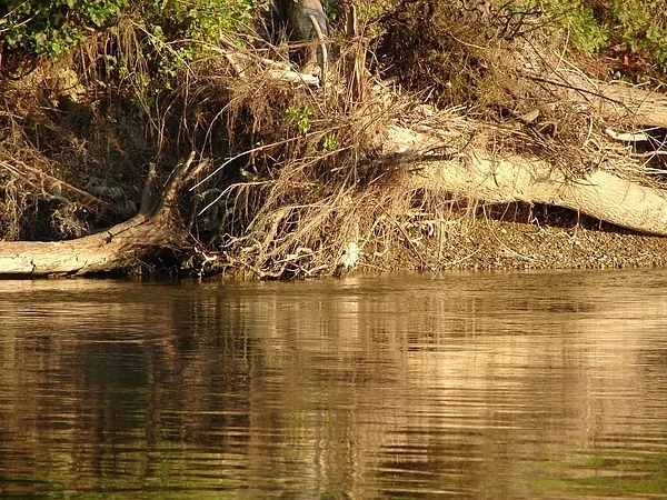 User submitted picture: Drava