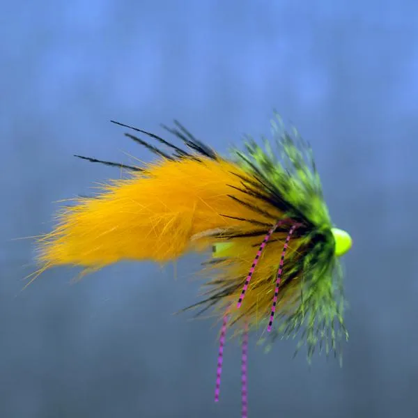 User submitted picture: Tube fly