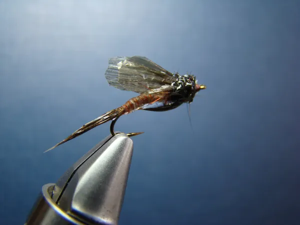 User submitted picture: Swimming May